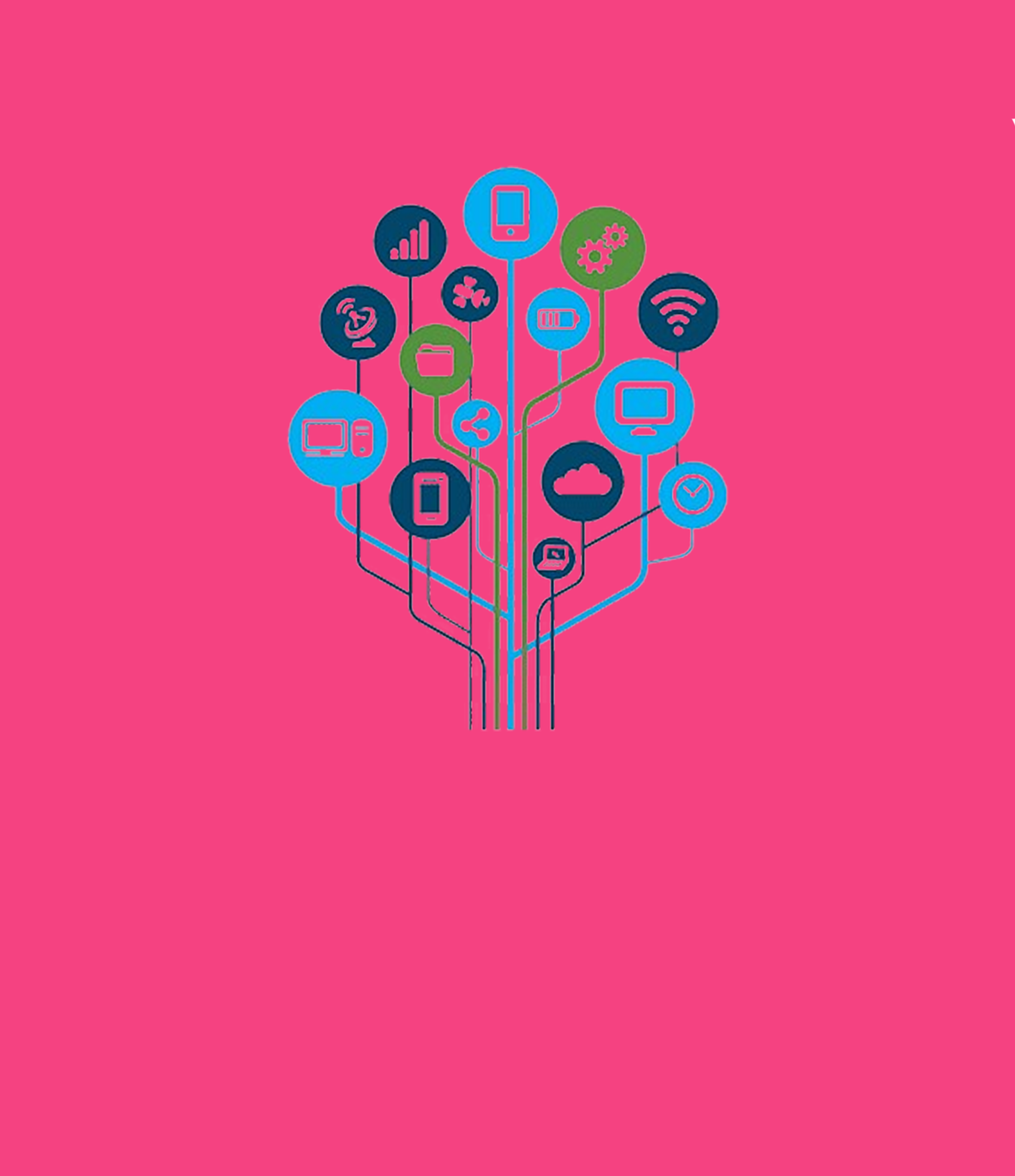 IT Management Services